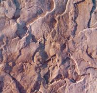 Decorative-Concrete-Stamped-Concrete-patio-option-12