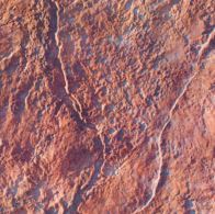Decorative-Concrete-Stamped-Concrete-patio-option-25