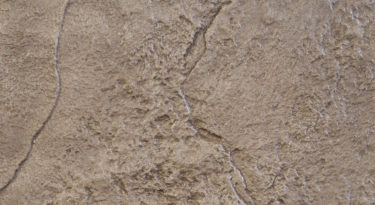 Decorative-Concrete-Stamped-Concrete-patio-option-26