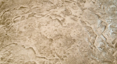 Decorative-Concrete-Stamped-Concrete-patio-option-31