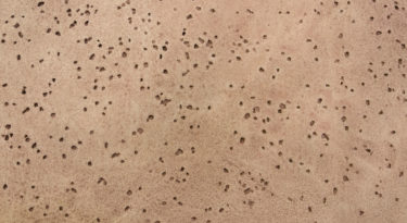 Decorative-Concrete-Stamped-Concrete-patio-option-37